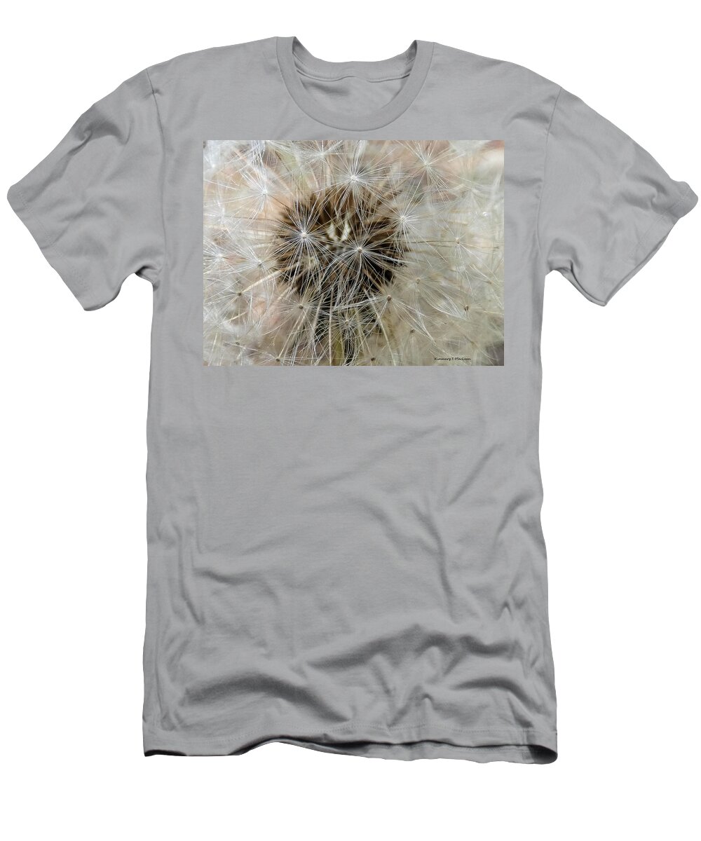 Believe T-Shirt featuring the photograph Dandelions #1 by Kimmary I MacLean