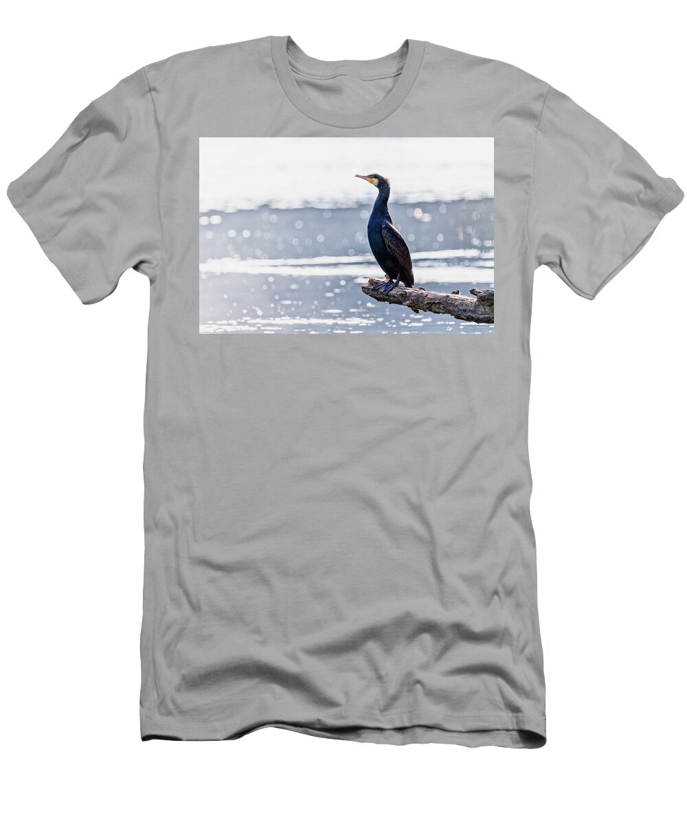 Bird T-Shirt featuring the photograph Great cormorant, Phalacrocorax carbo, standing peacefully on a branch #1 by Elenarts - Elena Duvernay photo