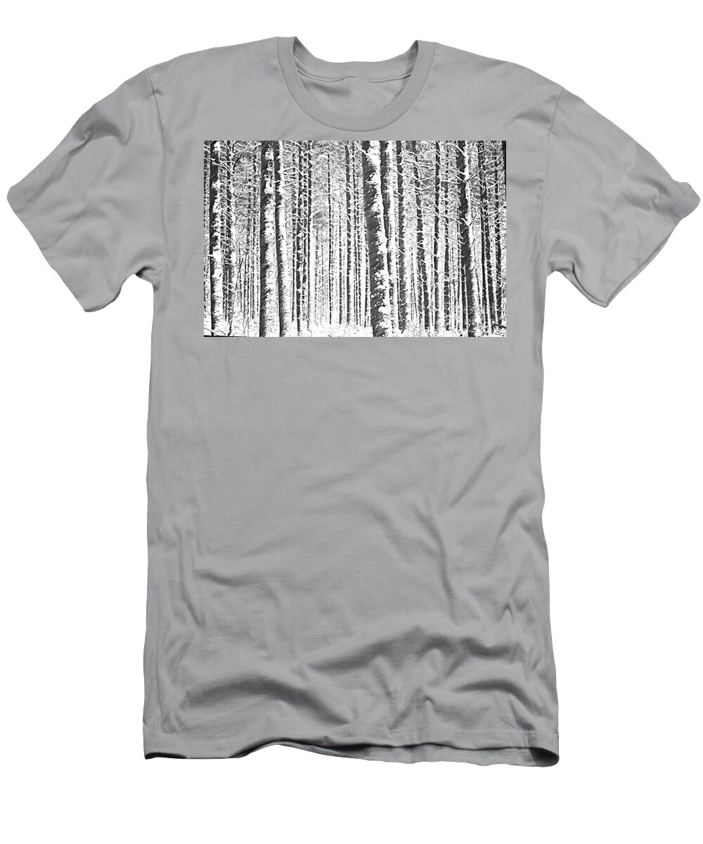 Trees T-Shirt featuring the photograph Hit by Snow #1 by Nicki McManus