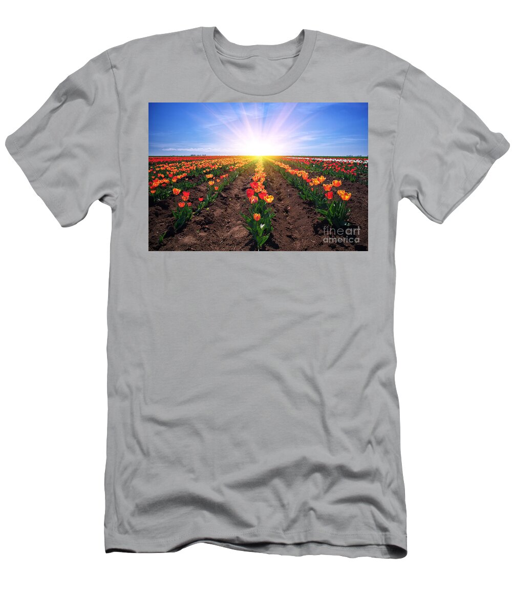 Agriculture T-Shirt featuring the photograph Meadow of tulips #1 by Boon Mee