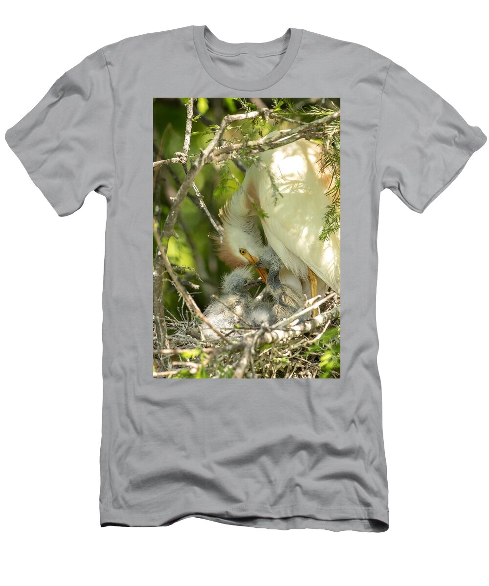 Cattle Egret T-Shirt featuring the photograph Mom and Chicks #1 by Dorothy Cunningham