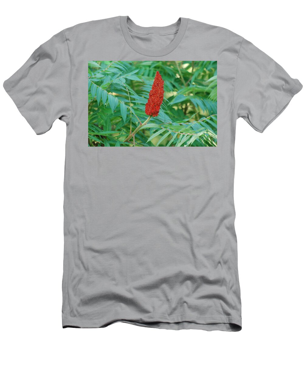 Staghorn Sumac T-Shirt featuring the photograph Staghorn Sumac by Ee Photography