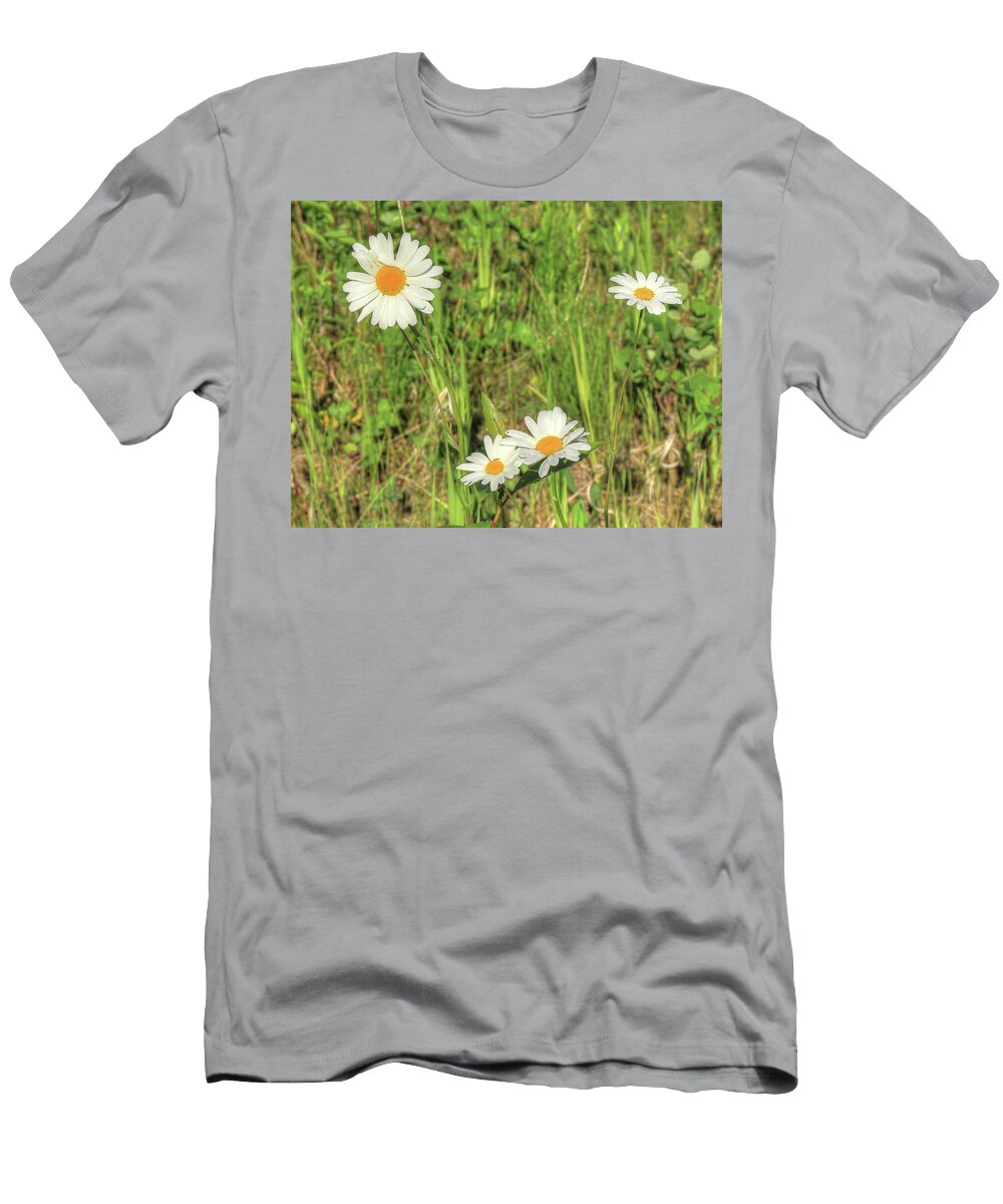 Flowers T-Shirt featuring the photograph Wild Daisies #1 by Jim Sauchyn