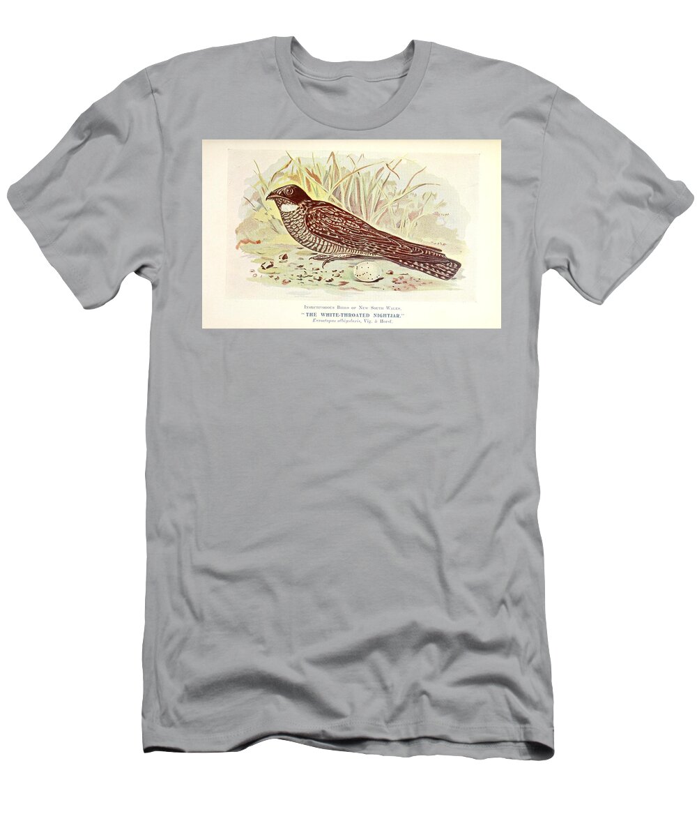 Birds T-Shirt featuring the mixed media Beautiful Vintage Bird #1065 by World Art Collective