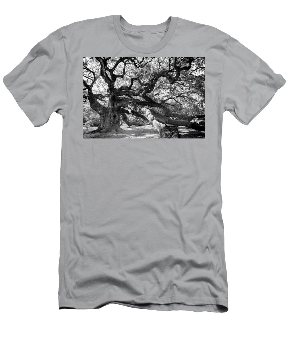 Angel Oak T-Shirt featuring the photograph 1500 Years And Counting by Karen Wiles