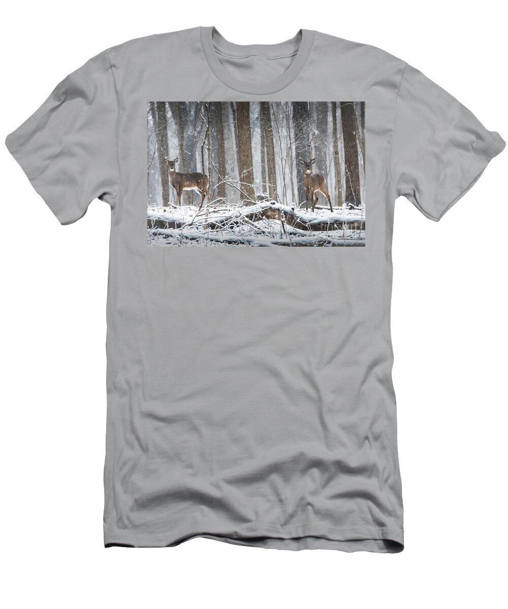 White-tailed Deer T-Shirt featuring the photograph 2 Bucks in a Snow Storm by Sandra Rust
