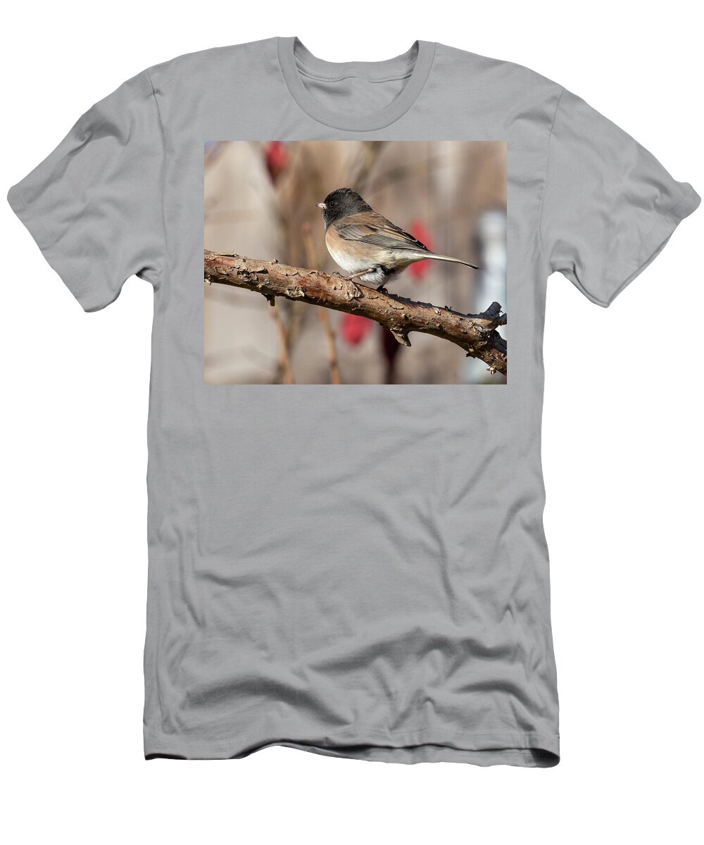 Junco T-Shirt featuring the photograph Dark-Eyed Junco #2 by Dart Humeston