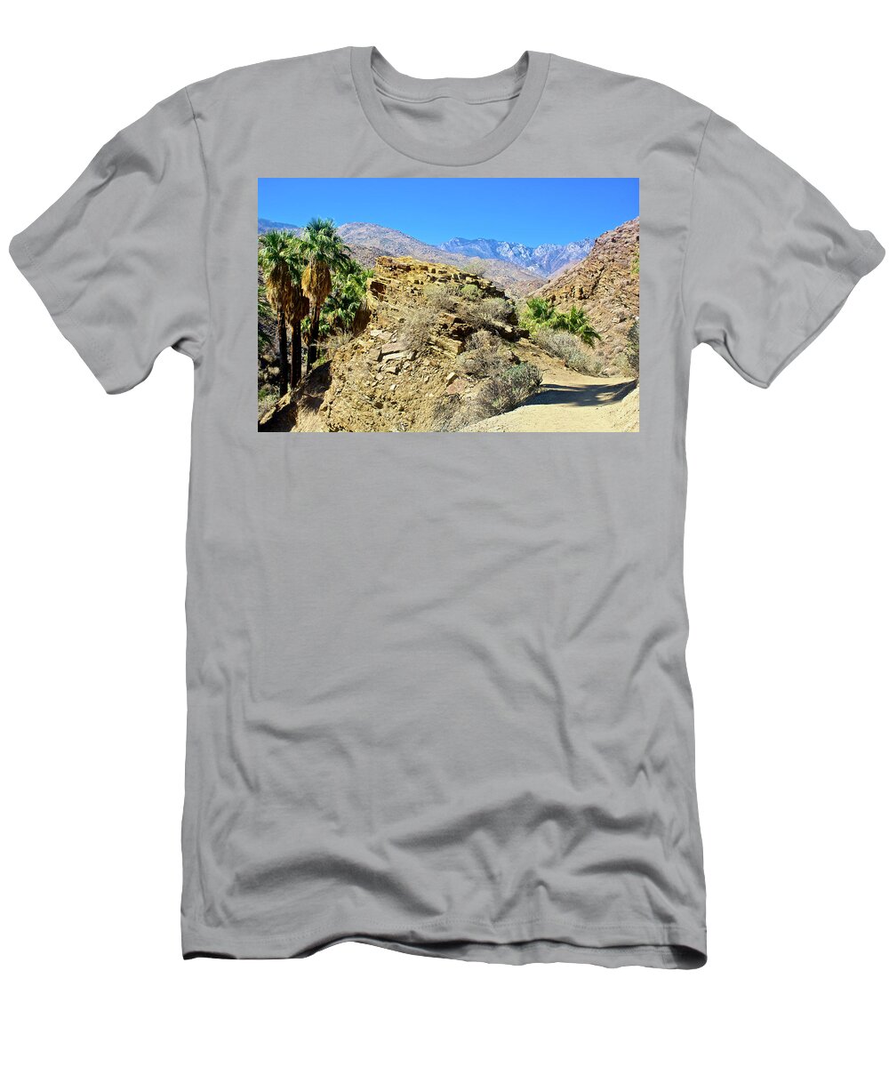 Lower Palm Canyon From Beginning Of Fern Trail In Indian Canyons Near Palm Springs T-Shirt featuring the photograph Lower Palm Canyon Trail in Indian Canyons near Palm Springs, California #2 by Ruth Hager