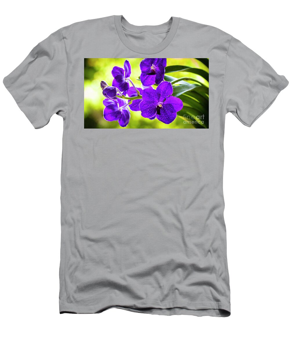 Background T-Shirt featuring the photograph Purple Orchid Flowers #23 by Raul Rodriguez