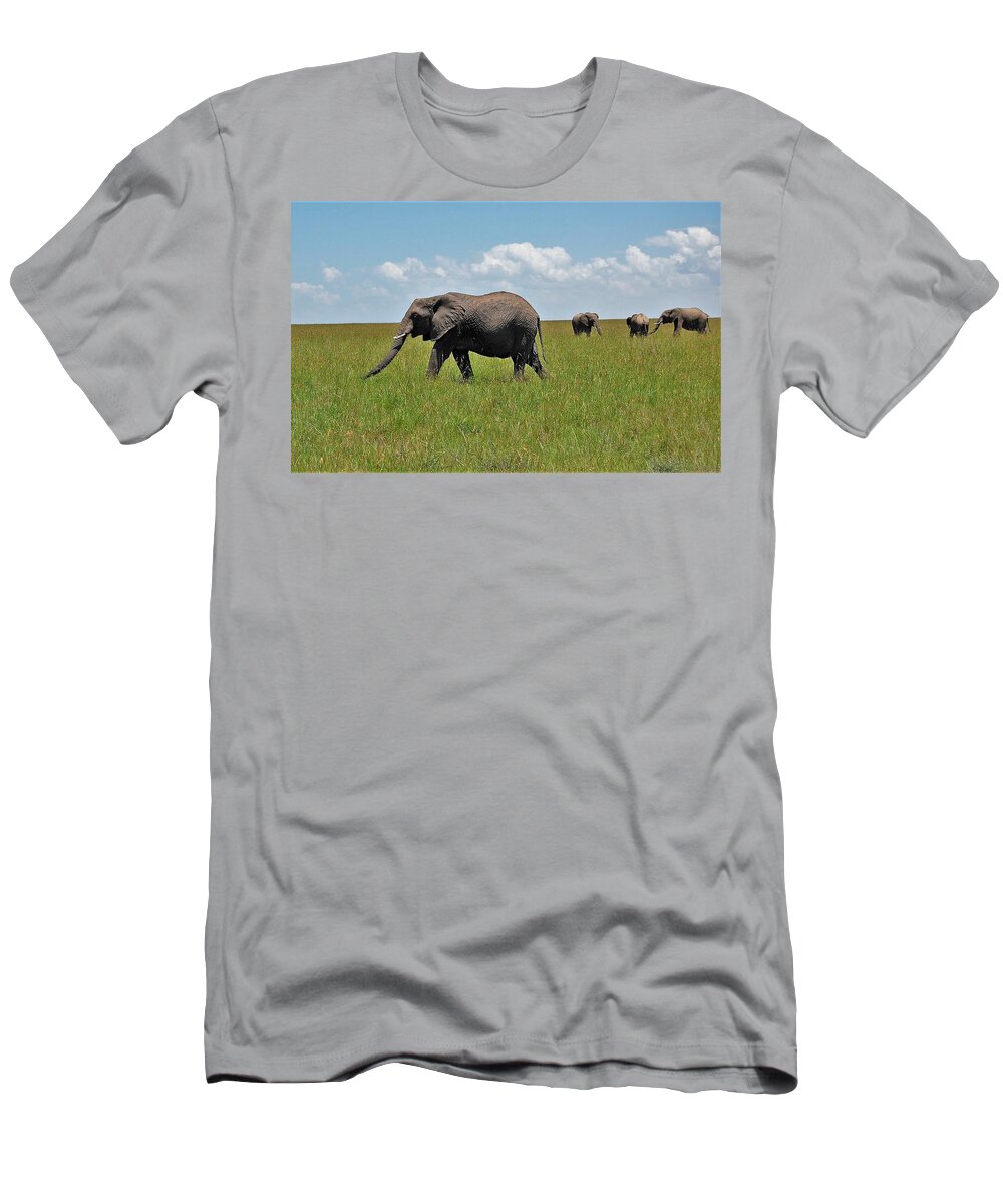  T-Shirt featuring the photograph 2k by Jay Handler