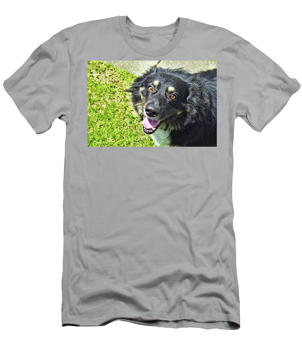 Dog T-Shirt featuring the photograph Dog #3 by Karl Rose