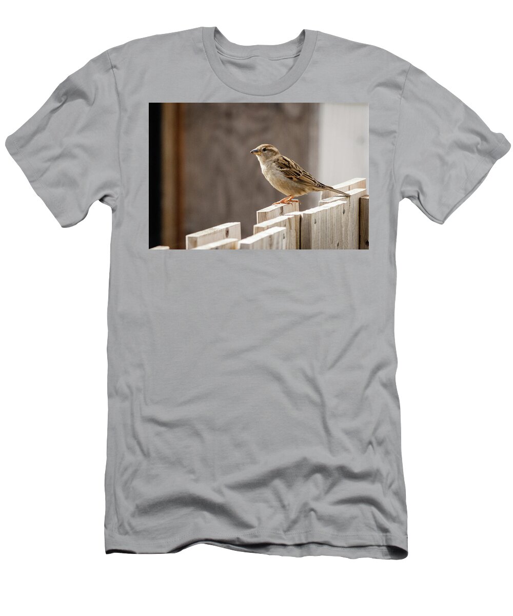 House Sparrow on a fence T-Shirt by SAURAVphoto Online Store