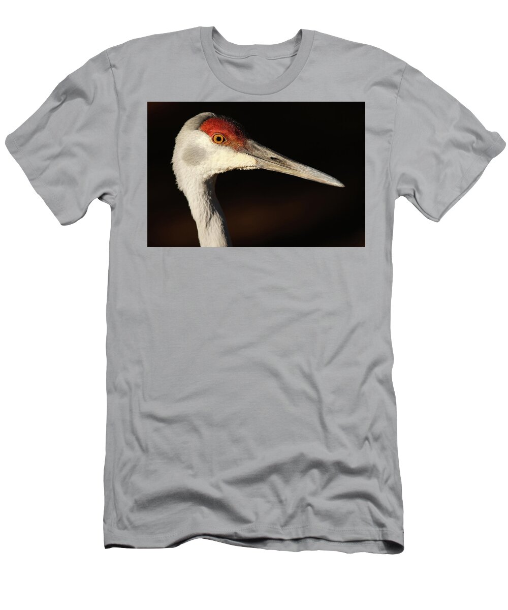 Sandhill Crane T-Shirt featuring the photograph Sandhill Crane #3 by Brook Burling