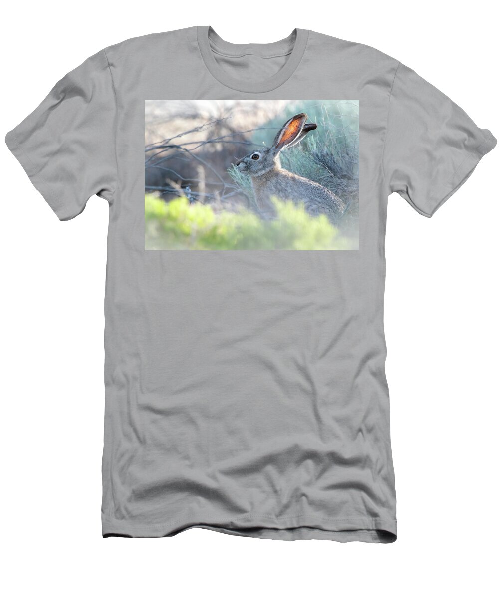 Lahontan T-Shirt featuring the photograph Black Tailed Jackrabbit #4 by Rick Mosher