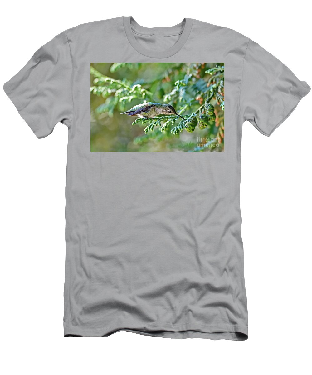 Anna's Hummingbird T-Shirt featuring the photograph A Curious Anna's Hummingbird by Amazing Action Photo Video