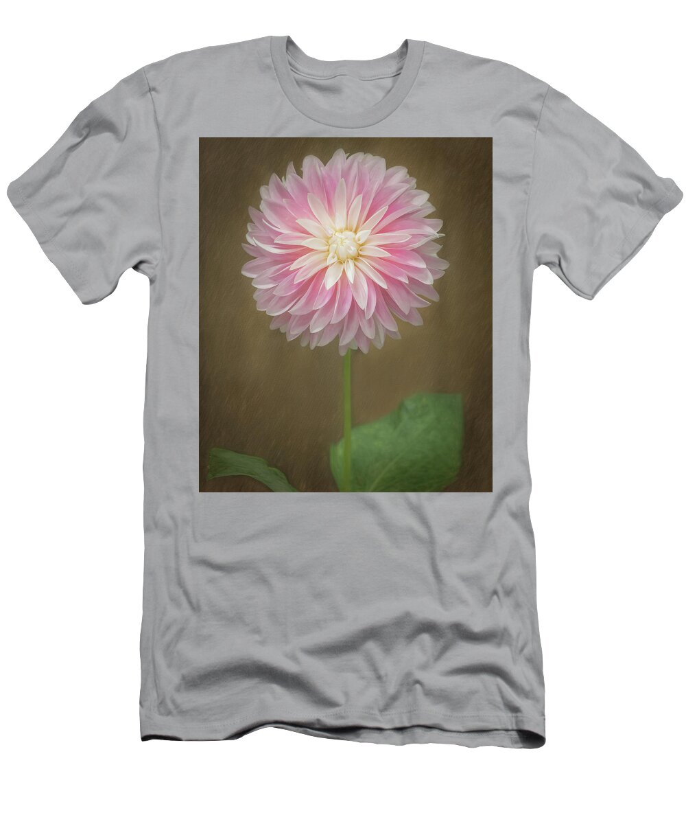 Pink T-Shirt featuring the photograph A Dainty Dahlia by Sylvia Goldkranz