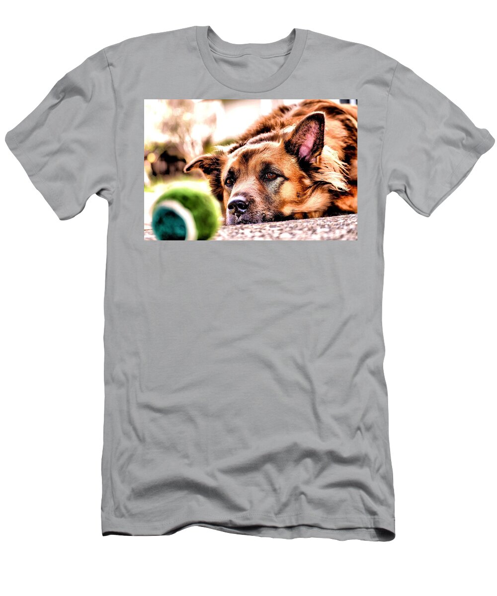 Dogs T-Shirt featuring the photograph A dog and Her Ball by Devin Wilson