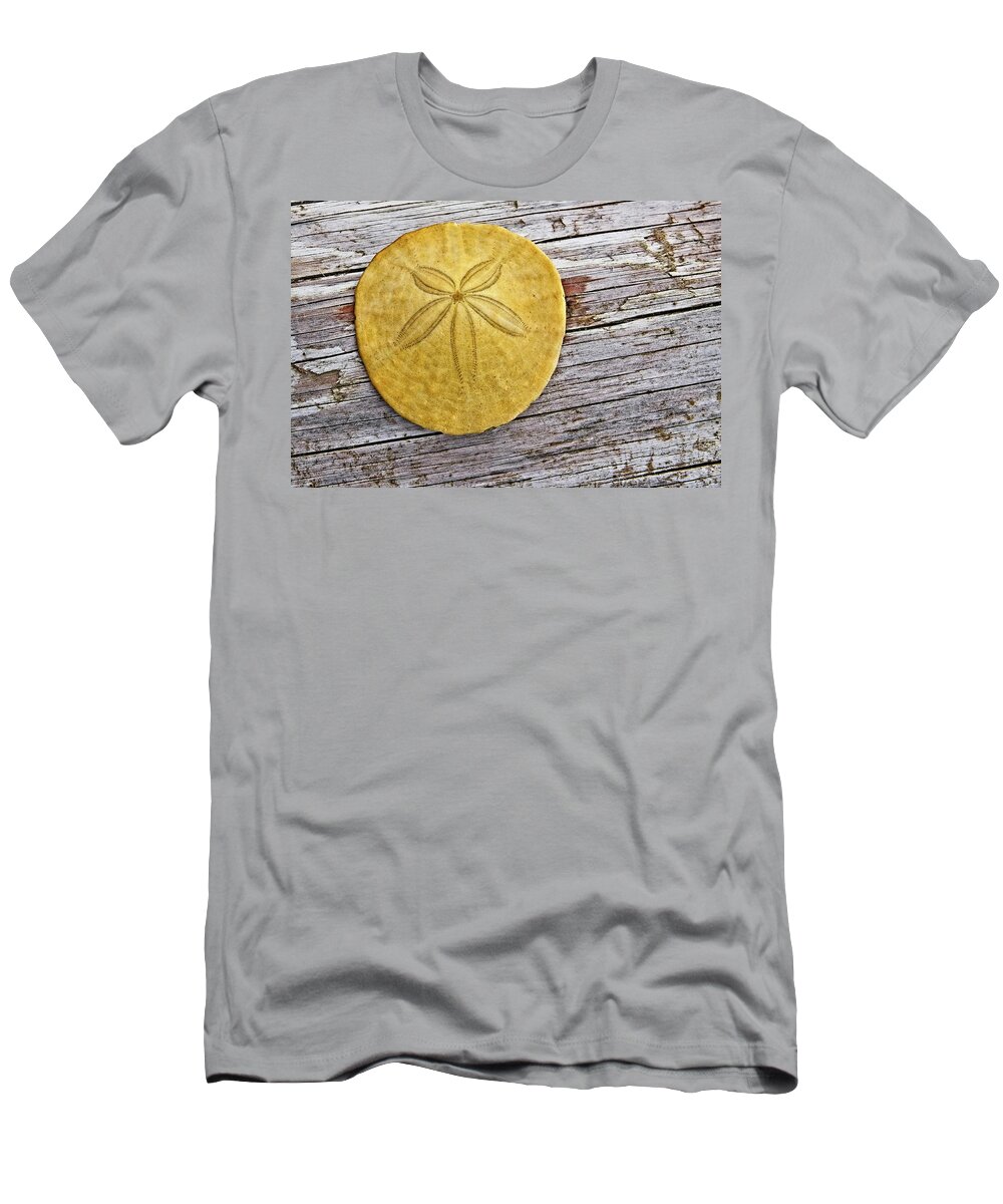 Shell T-Shirt featuring the photograph A Dollar For Your Thoughts by David Desautel