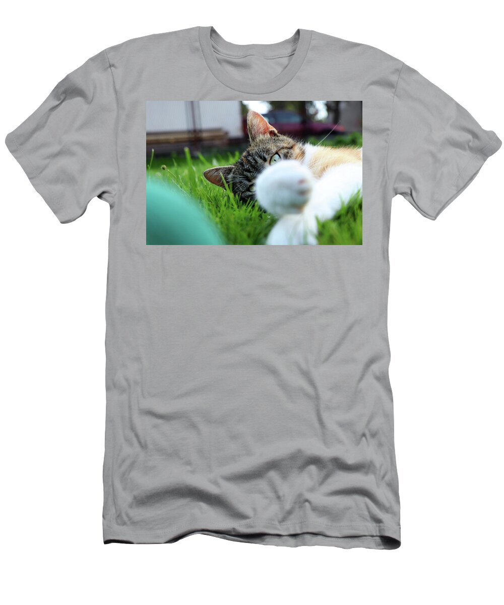 Golden Hour T-Shirt featuring the photograph Cat head looking from behind her paws and look right to camera. by Vaclav Sonnek