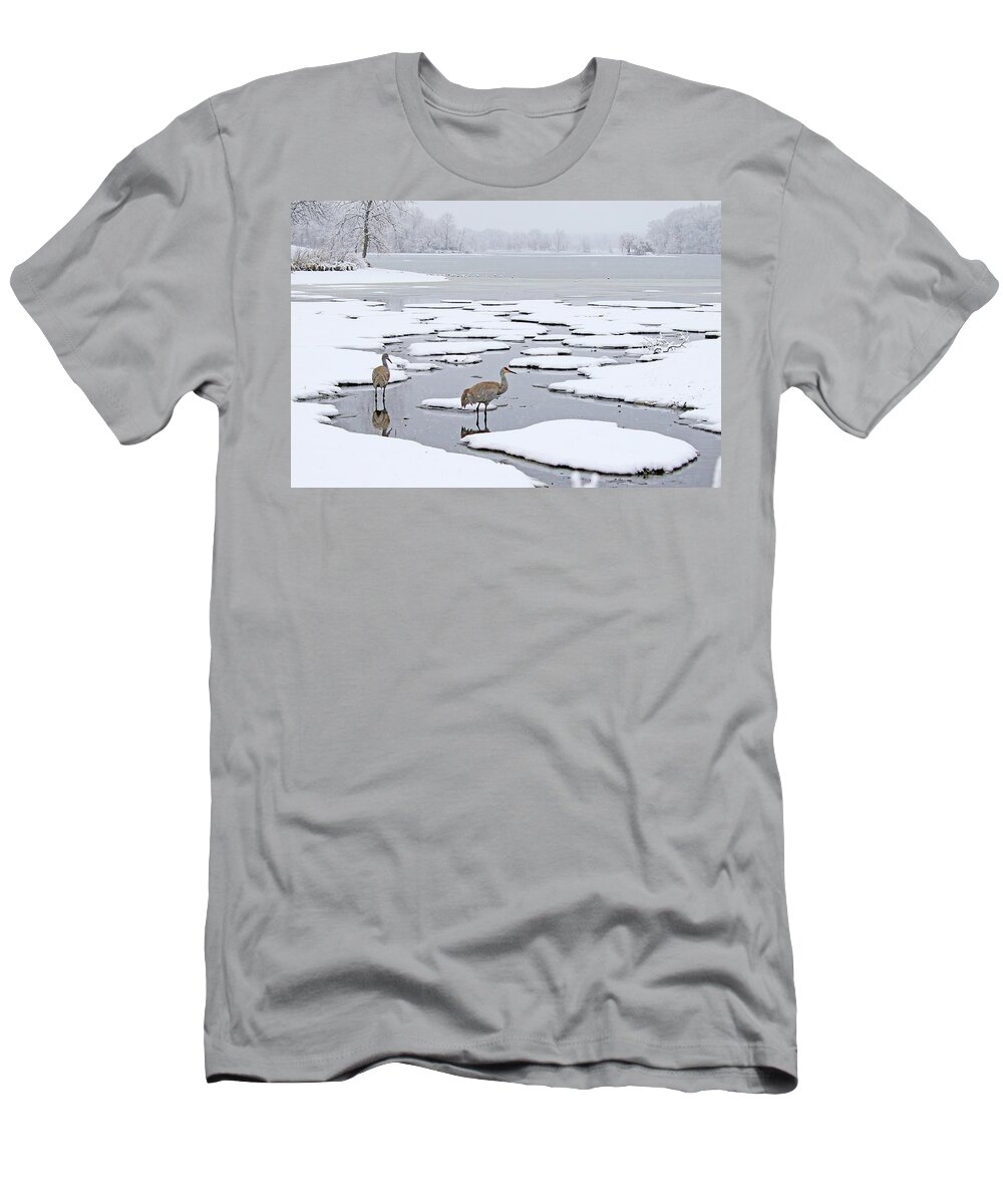 Sandhill Crane T-Shirt featuring the photograph A Sandhill Crane Couple in a Michigan Winter Wonderland by Shixing Wen