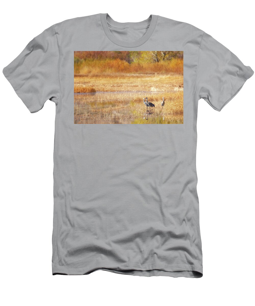 Bosque Del Apache T-Shirt featuring the photograph A Sandhill Crane Family by Susan Rissi Tregoning