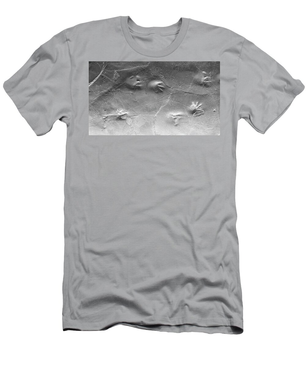 Amphibian T-Shirt featuring the photograph A stone book by Karine GADRE
