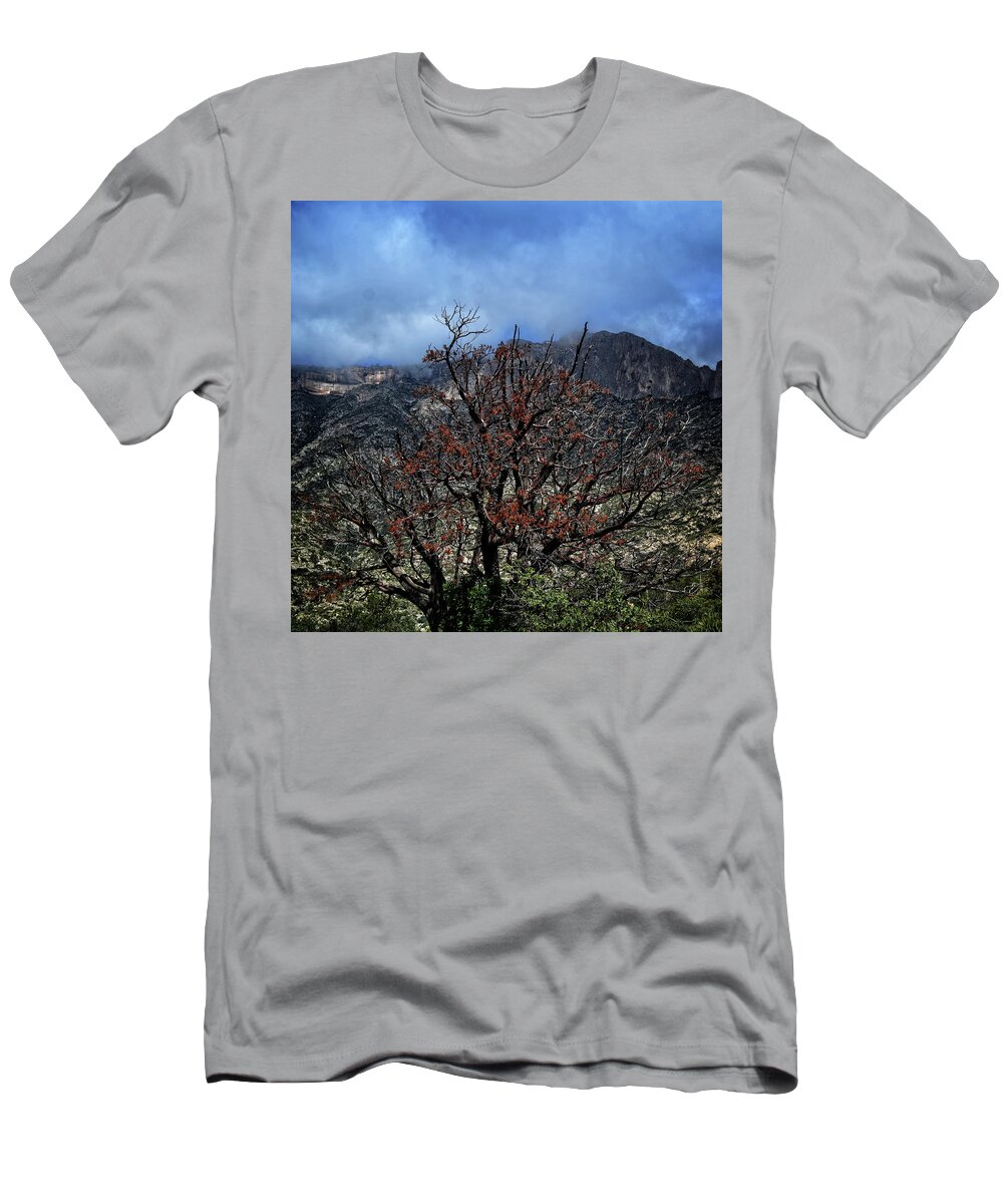 Tree T-Shirt featuring the photograph A Tree in the Canyon by George Taylor