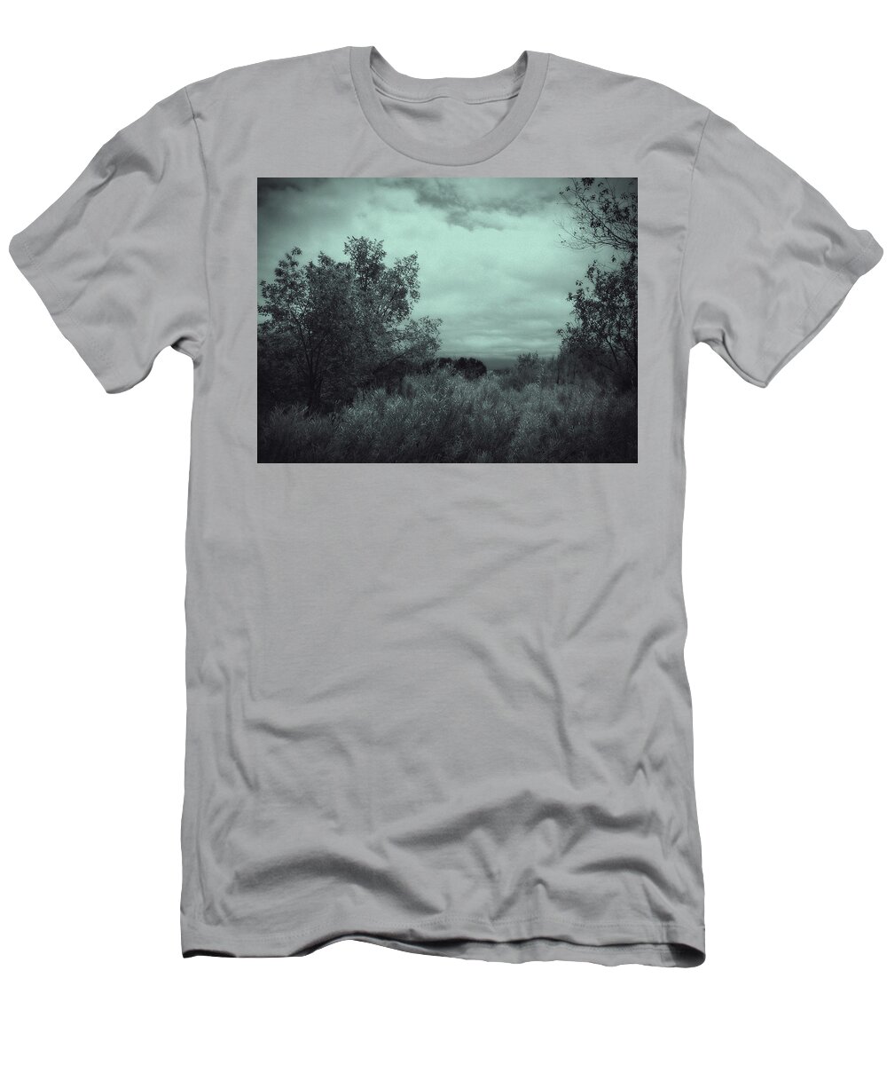 Landscape T-Shirt featuring the photograph A View Beyond Vintage Appeal by Kathleen Grace