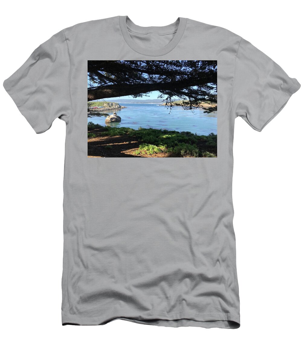Sea T-Shirt featuring the photograph Whalers Cove Point Lobos #1 by Luisa Millicent
