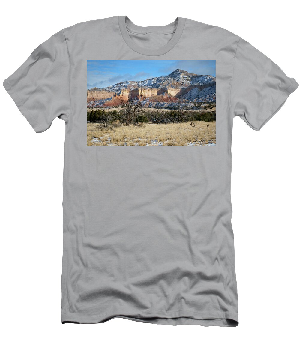 Abiquiu T-Shirt featuring the photograph Abiquiu New Mexico Landscape by Mary Lee Dereske