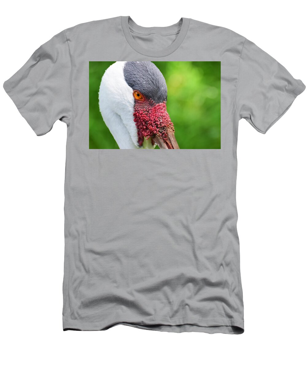 African T-Shirt featuring the photograph African crane close up by Ed Stokes