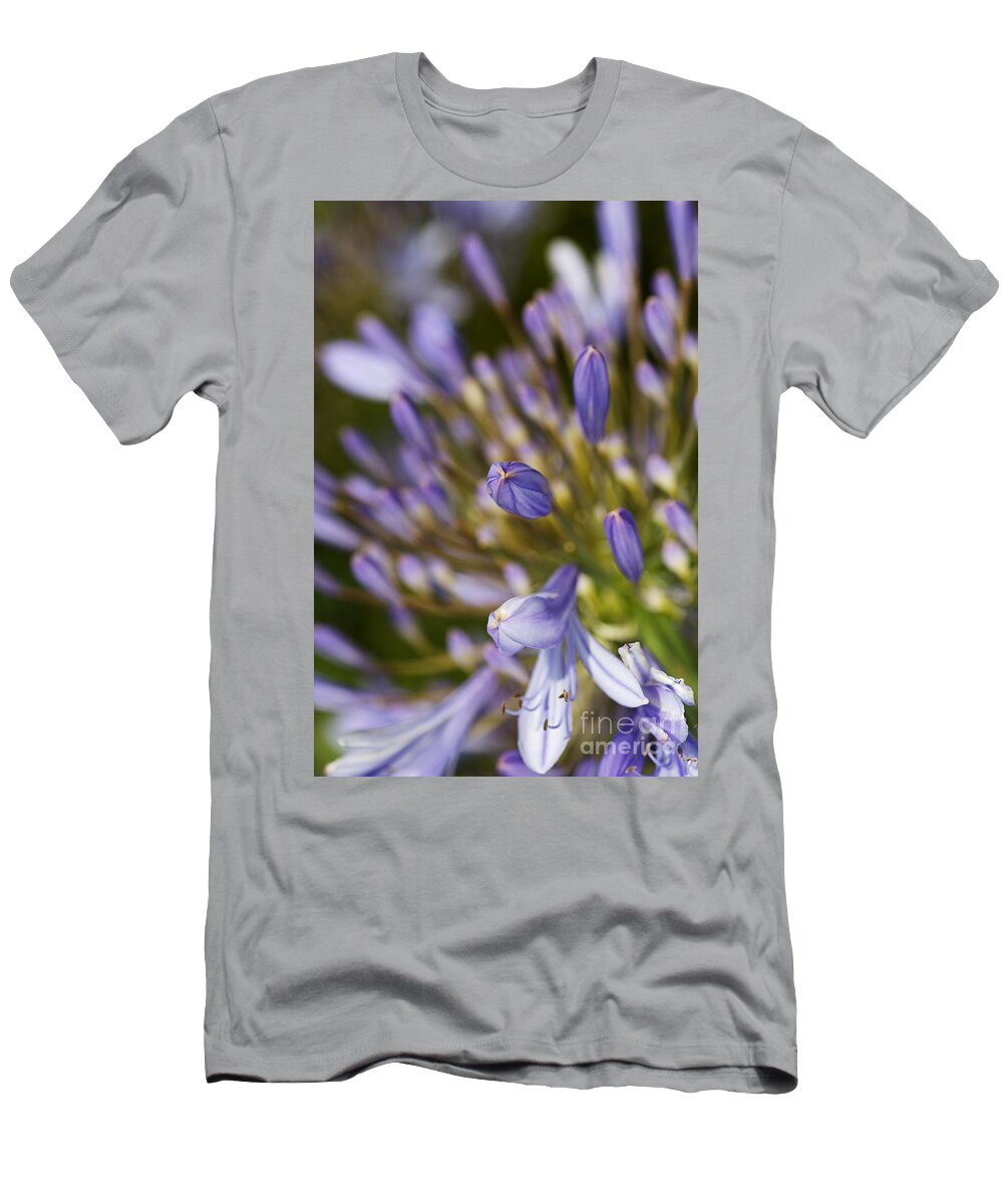 Lily Of The Nile T-Shirt featuring the photograph Agapanthus Buds To Flower by Joy Watson