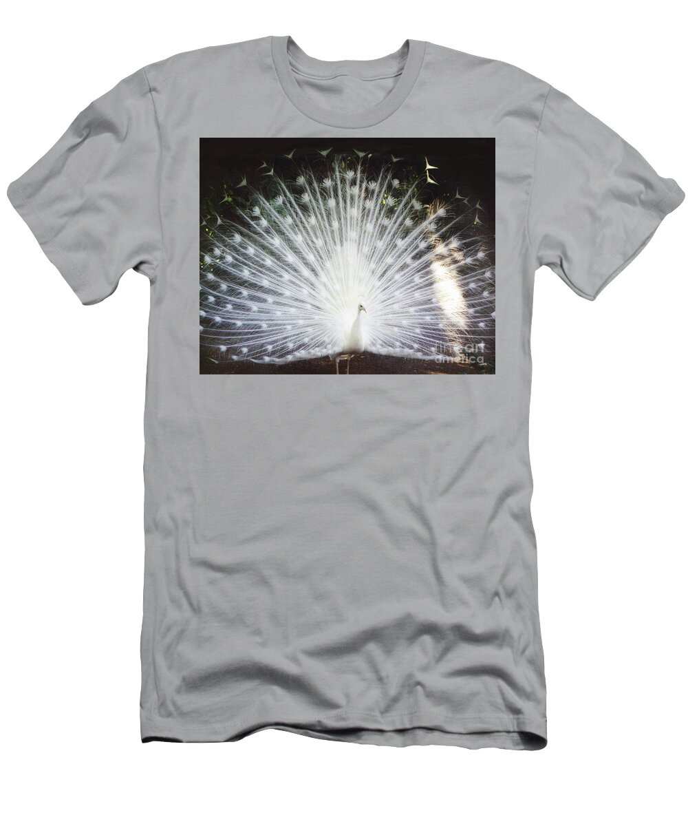 Albino White Peacock Display Feather T-Shirt featuring the photograph Albino White Peacock Display by Kimberly Blom-Roemer