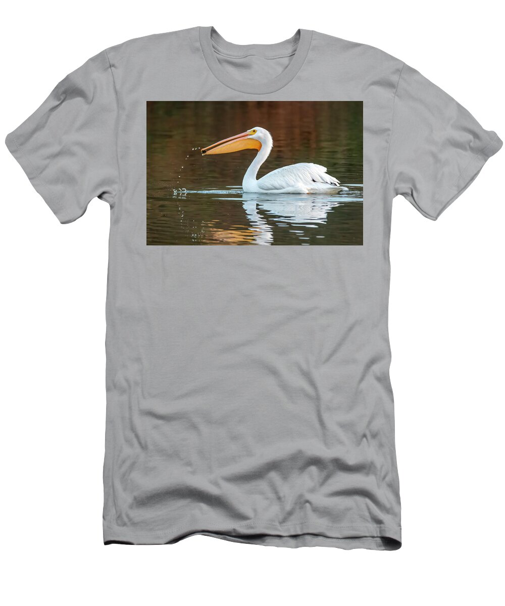 American White Pelican T-Shirt featuring the photograph American White Pelican 0349-120123-2 by Tam Ryan