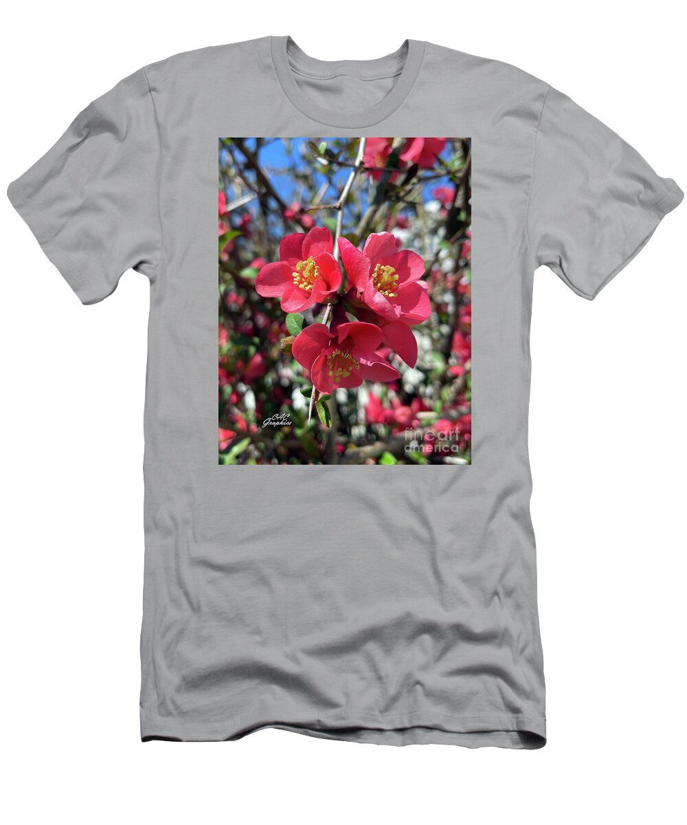 Apple Blossoms T-Shirt featuring the photograph Apple Blossoms 2 by CAC Graphics