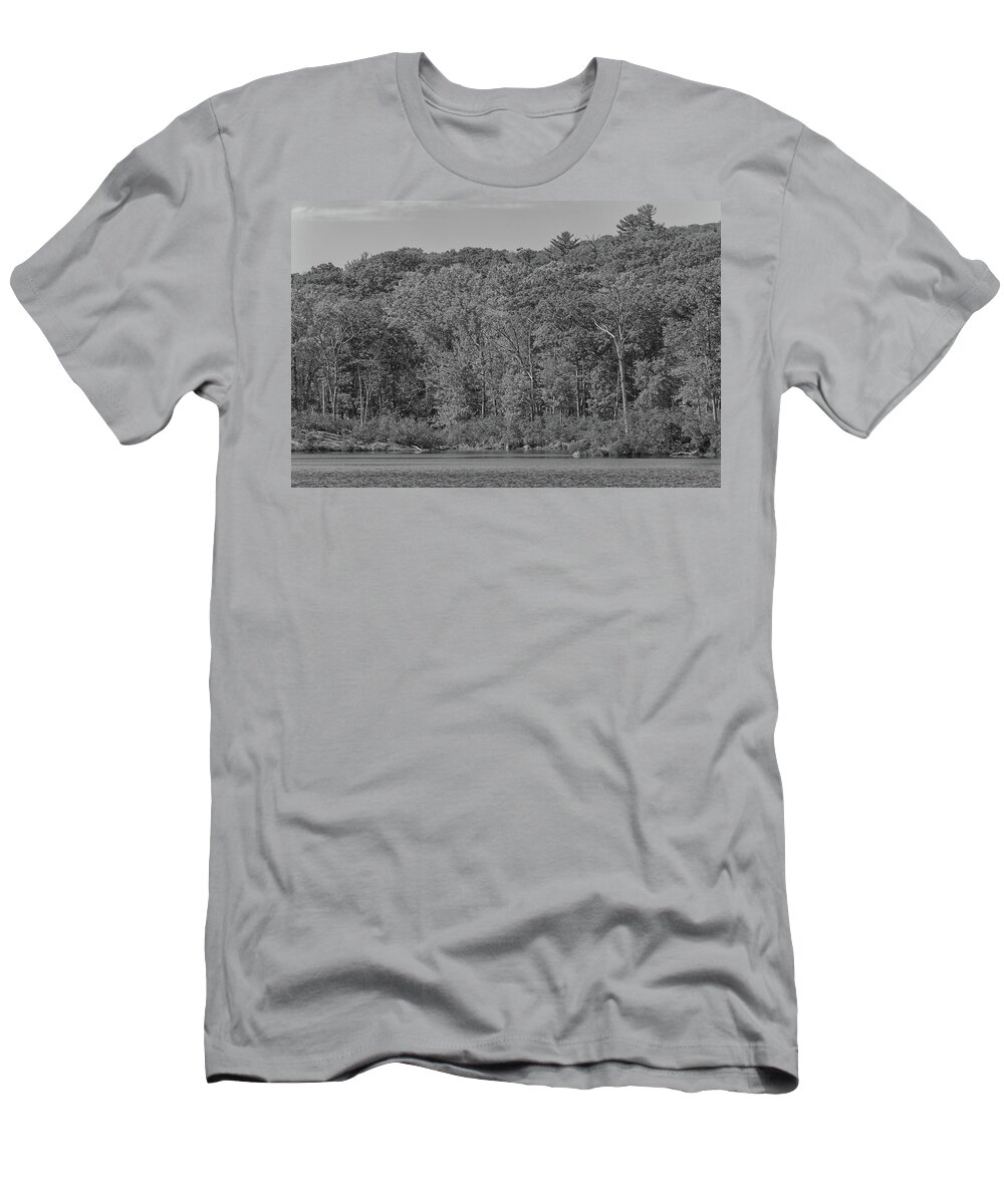 Black And White T-Shirt featuring the photograph Autumn Trees along the Lake by Alan Goldberg