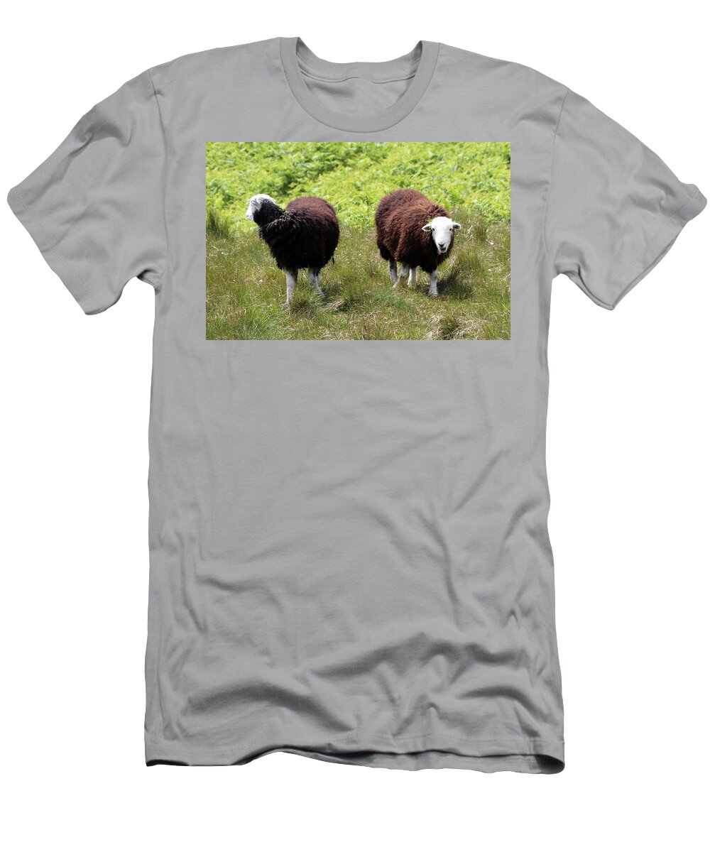 Sheep T-Shirt featuring the photograph Baa by Lukasz Ryszka