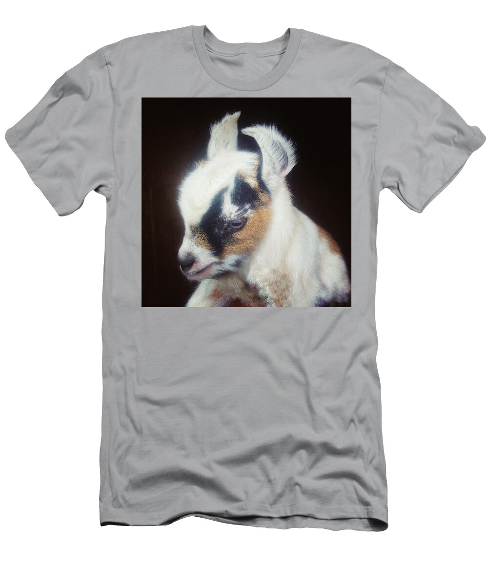 Pigmy Goat T-Shirt featuring the photograph Baby Pigmy Goat by Mark Egerton