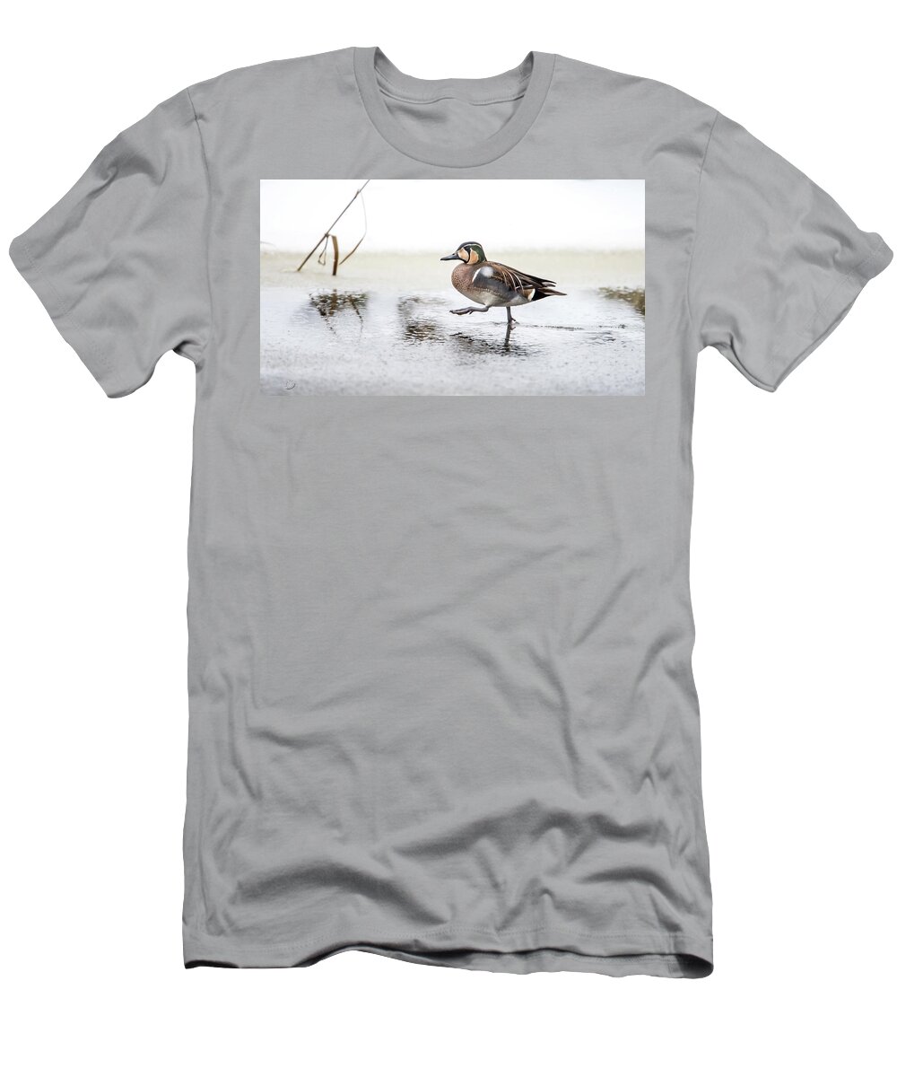 Baikal Teal T-Shirt featuring the photograph Baikal Teal, the beautiful and rare visitor in Sweden, walks wit by Torbjorn Swenelius