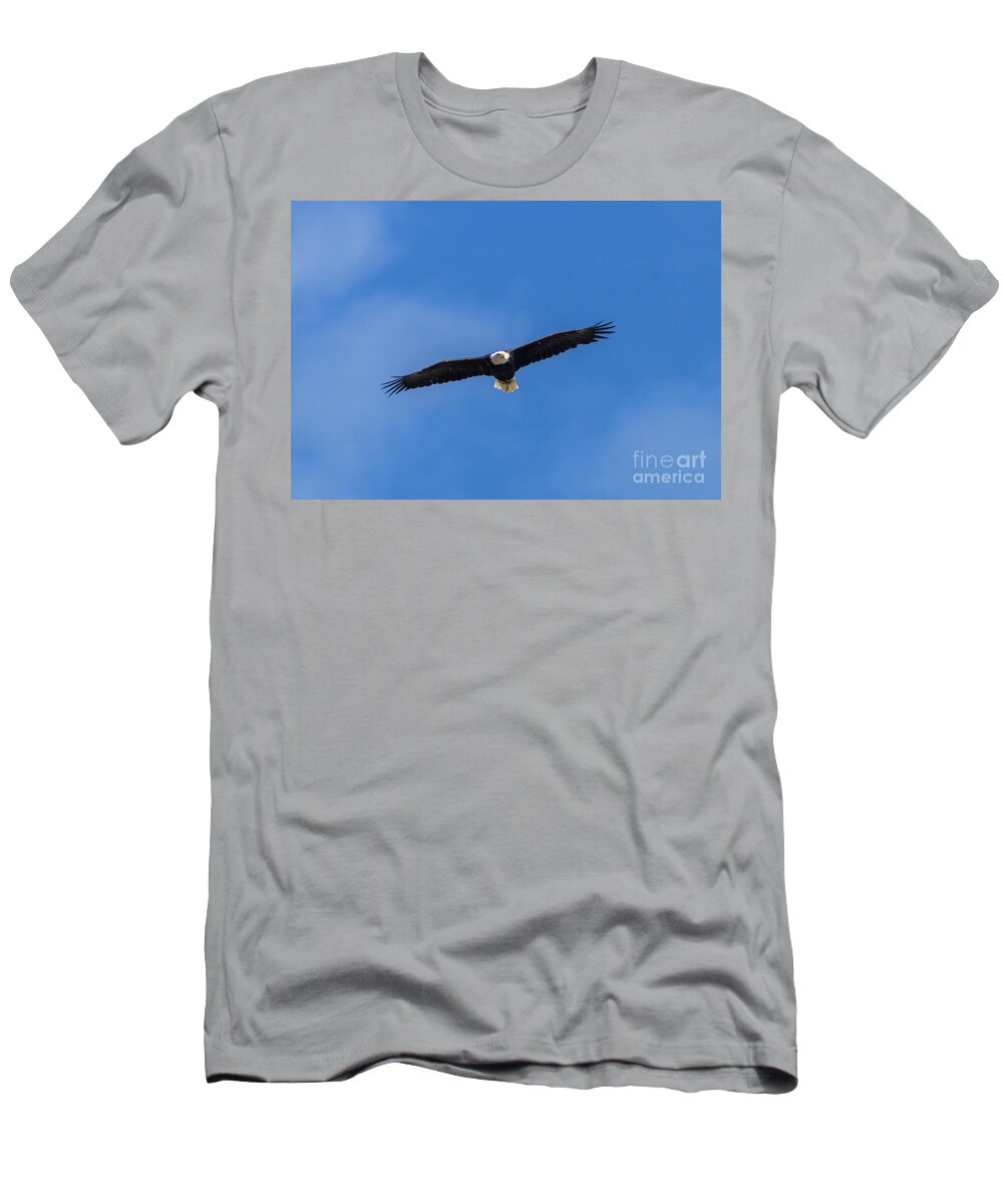 Bald Eagle T-Shirt featuring the photograph Bald Eagle in Majestic Flight by Steven Krull