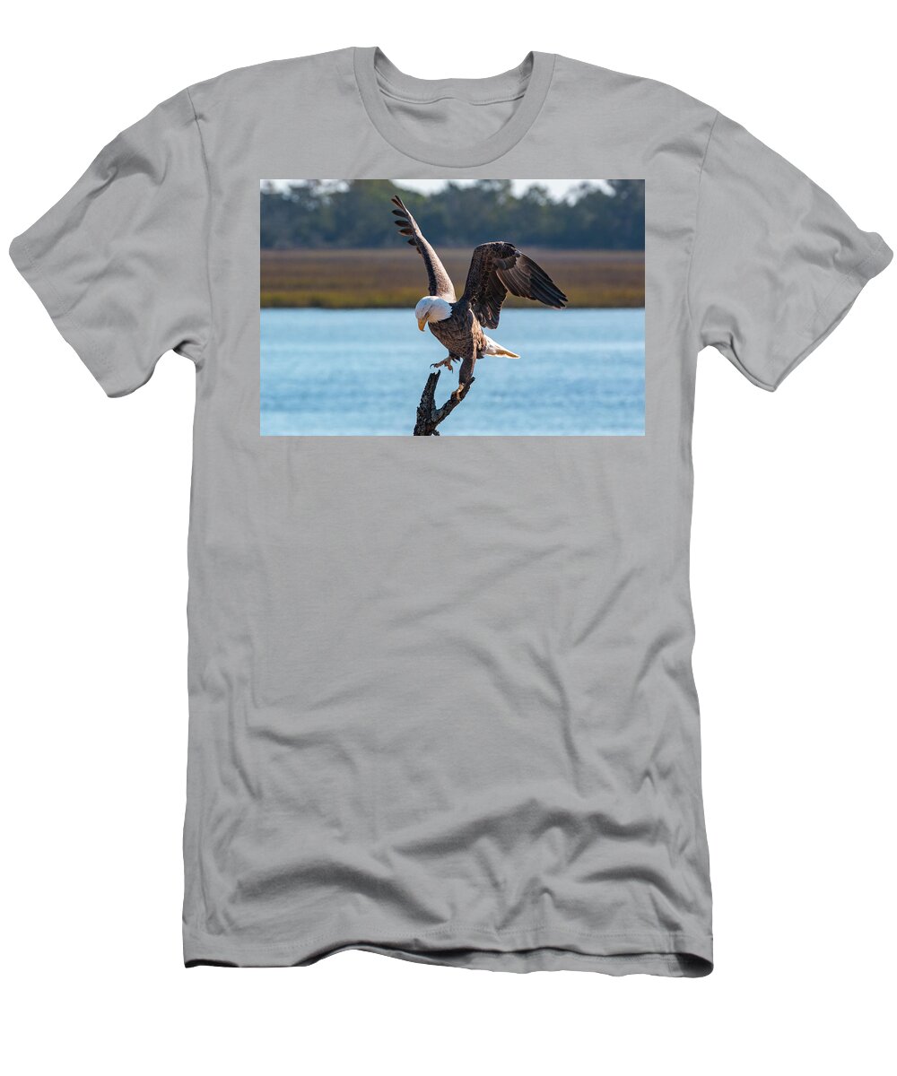 Bald Eagle T-Shirt featuring the photograph Bald Eagle Landing by D K Wall