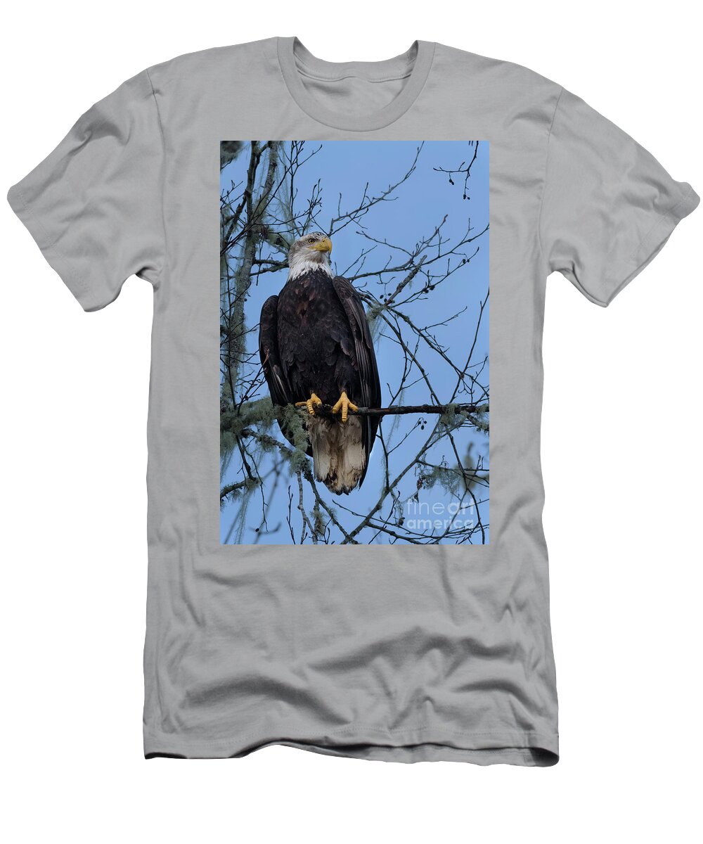 Bald Eagle T-Shirt featuring the photograph Bald Eagle Perched over Skagit River by Nancy Gleason