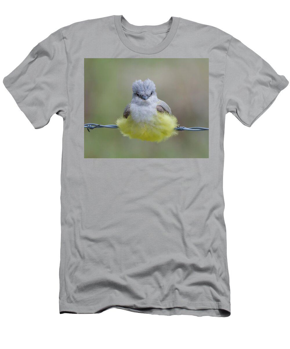 Tyrannidae T-Shirt featuring the photograph Ball of Fluff by CR Courson