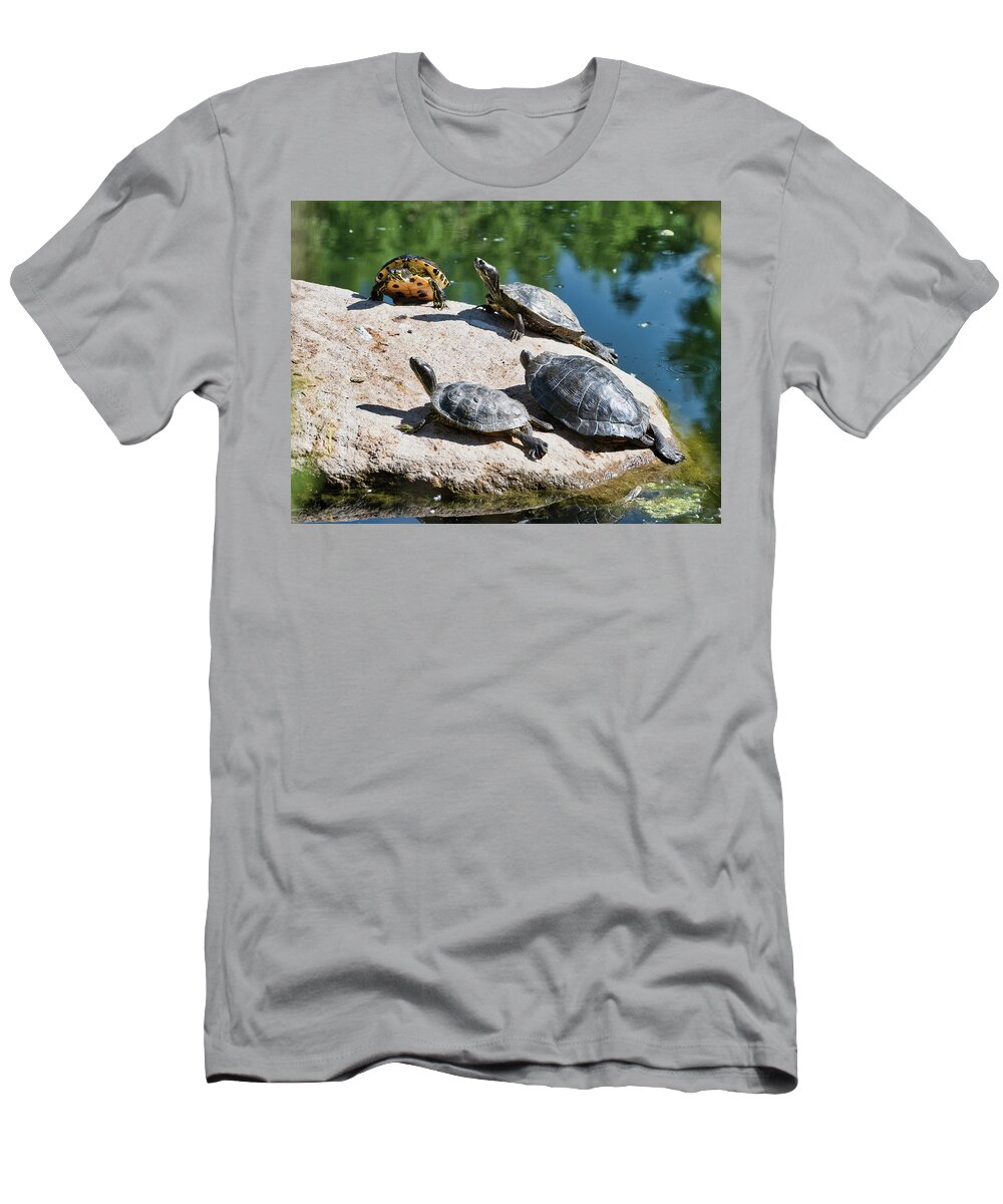 Animals T-Shirt featuring the photograph Basking in the sun by Segura Shaw Photography