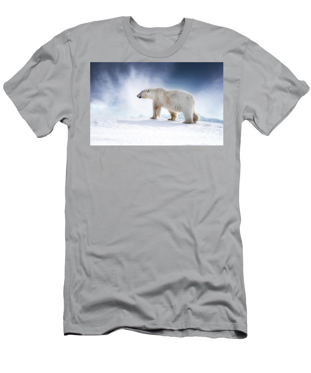 Wildlife T-Shirt featuring the photograph Beautiful adult male polar bear, ursus maritimus, walking across the snow of Svalbard by Jane Rix