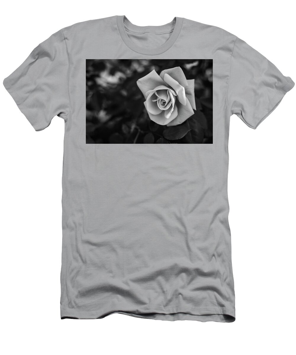 Rosa T-Shirt featuring the photograph Beautiful Rose by Martin Vorel Minimalist Photography