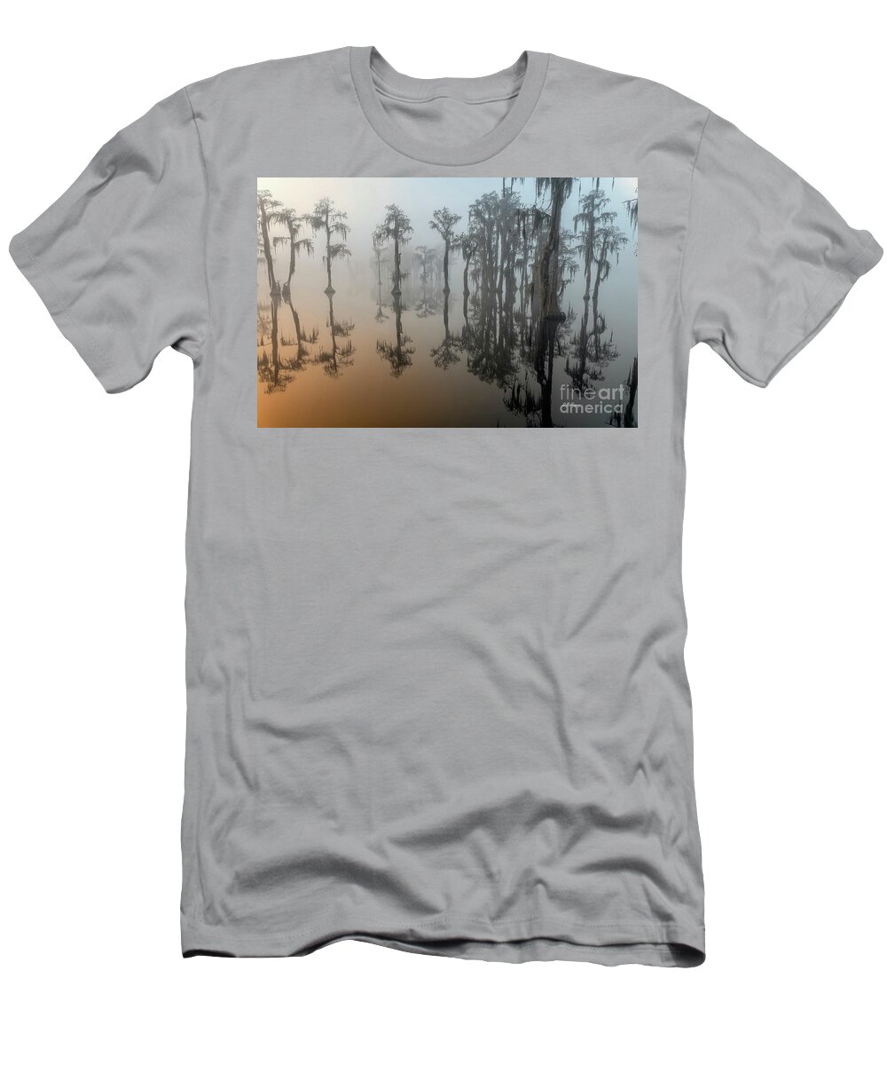Fog T-Shirt featuring the photograph Beauty In The Fog 2 by DB Hayes