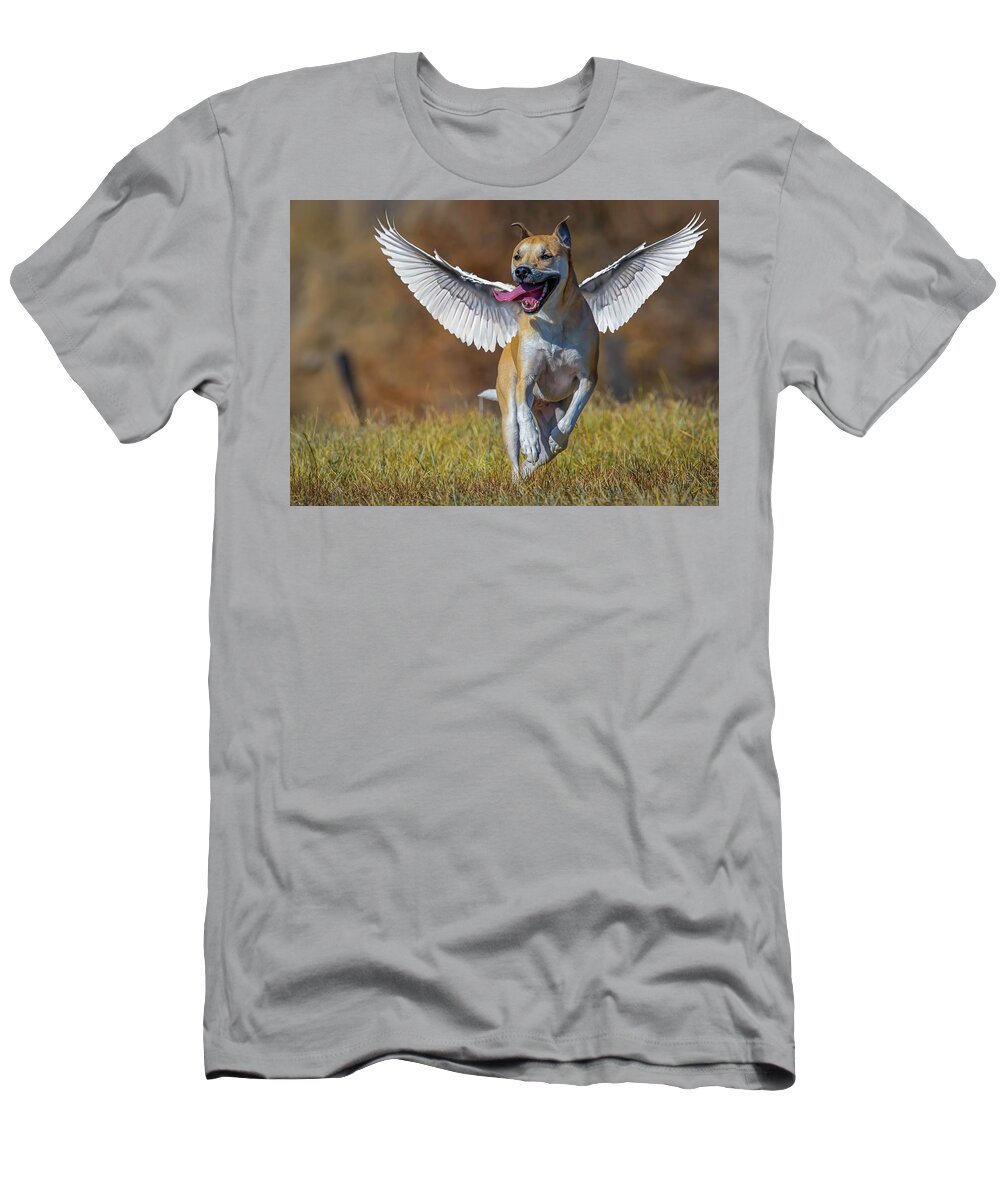 Dog T-Shirt featuring the photograph Bella Angel 2 by Rick Mosher