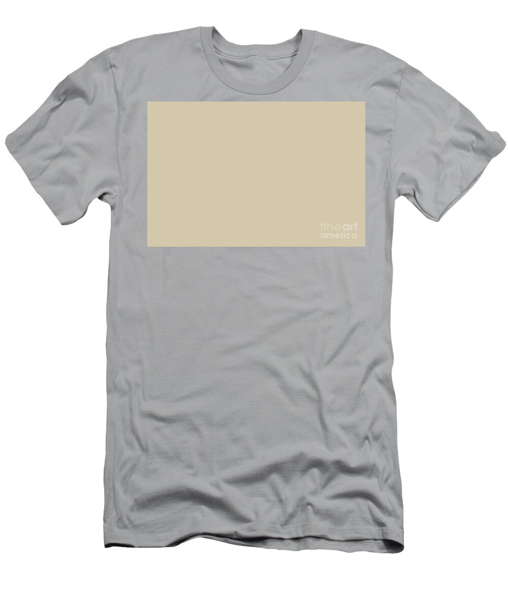 UPPER HIGHTS 】『the shirt』brownwoolシャツ シャツ/ブラウス(七分