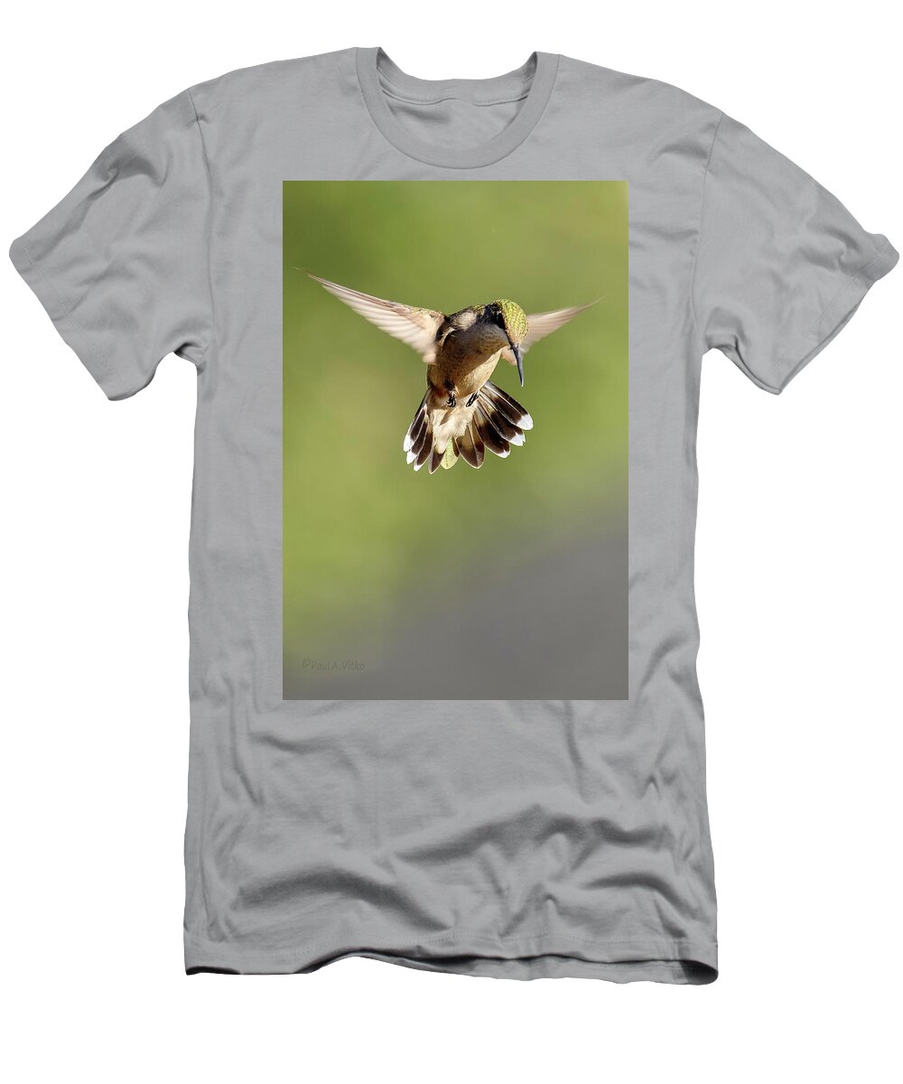 Hummingbird T-Shirt featuring the photograph Bird Bow by Paul Vitko